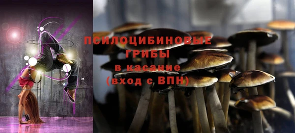 стаф Тавда