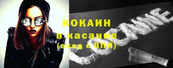 apvp Тайга