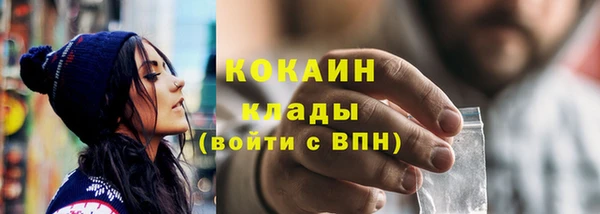 стаф Тавда