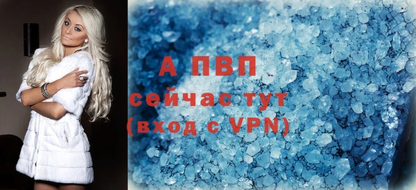 стаф Тавда