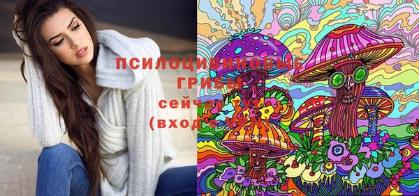 а пвп мука Сясьстрой