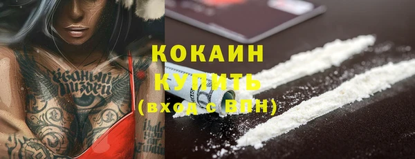 стаф Тавда