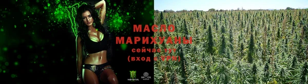 стаф Тавда