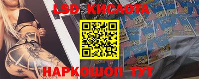 spice Кунгур