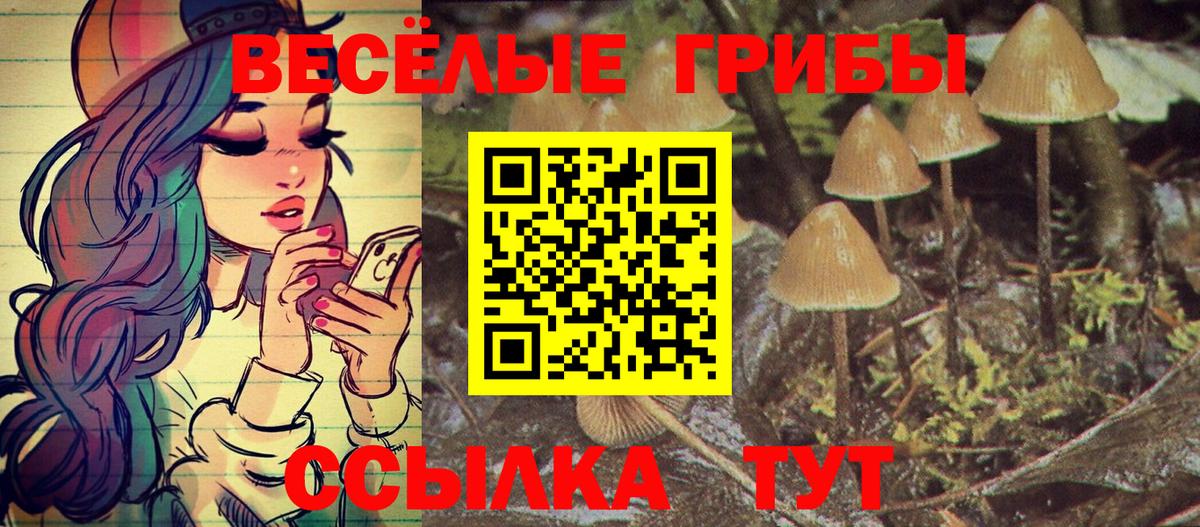 Галлюциногенные грибы GOLDEN TEACHER  Вход с VPN  Псилоцибиновые грибы Psilocybe  Серпухов 